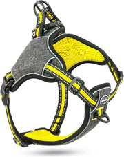 Harnas per cani piccoli senza strappo - Cintura per cani riflettente - Cinturino per cani da allenamento - Cinturino per cuccioli