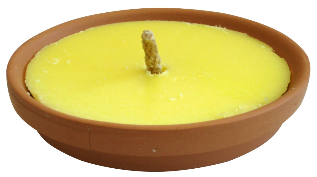 CITRONELLA IN PADELLA DI TERRACOTTA MADE INTALY  Ø cm. 11