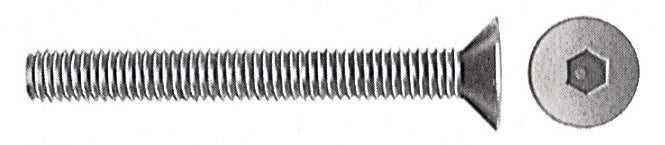 VITI PER BUSSOLA T.S.P. ESAG INCAS  8MA BRUN 50 MM- 200,0 pz