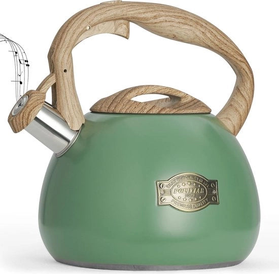 Piastra a gas da 2,7 litri, theeketel, teapot con flauto sonoro, maniglia antiscivolo in acciaio inossidabile di alta qualità per prevenire l'ossidazione e la scottatura, adatta a tutti i tipi di fonti di calore (JX2022-MN30-DE)
