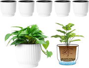 Pianta in plastica autoirrigante, contenitore per piante a lungo termine, vaso per fiori decorativo Macaron - Set di 6, grande, bianco