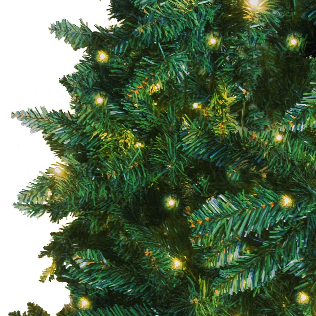 Cupid - Albero di Natale con luci LED ø125x240H cm, 2000 rami