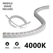 Alcapower Wall Washer Striscia LED 5m 24V 4000K 20W/m 1650lm/m IP65 in Silicone, CRI 90, Alta Efficienza Luminosa per Illuminazione Architetturale