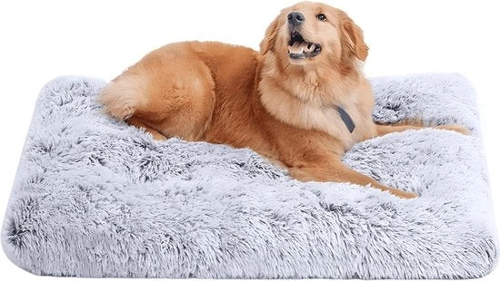 Letto per Cani - Dimensioni 65 x 48 cm - Materiale Pluche - Antiscivolo - Lavabile - Adatto per Piccoli, Medi e Grandi Cani - Colore Grigio Chiaro