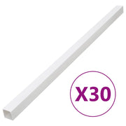 Canalina per Cavi 100x60 mm 30 m in PVC