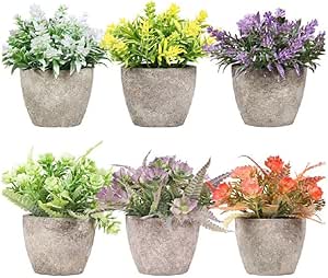 Piantine Artificiali Set 6 Pz In Scatola Trasparente Di Acetato King Home 