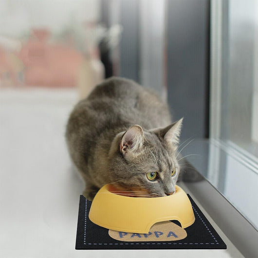 Coppia Tappetini SottoCiotola Gomma Sostenibile Antiscivolo Cane Gatto Quadrati