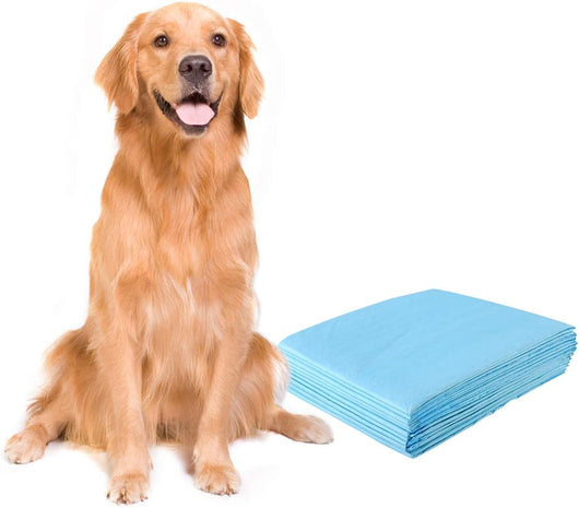 Tappetini Igienici Grandi per Animali, Traverse Animali a 5 Strati, Assorbe Bene Senza Perdite (75 x 90 cm 100 Pezzi)