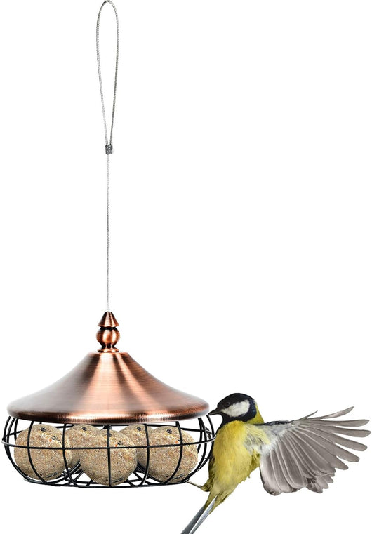 Mangiatoia Uccelli per Giardino da Appendere, Interno e Esterno, in Plastica e Acciaio Inox, Forma di Lampada, 17x17x14cm