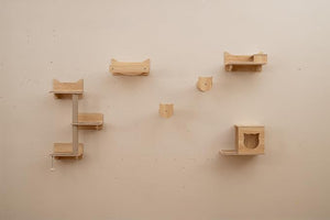 Mobili da Parete per Gatti a 6 Pezzi, Mensole a Muro con Amaca, Ciotola per Cibo e Acqua, Albero a 3 Livelli, Piattaforme, Scalini, Tiragraffi e Giocattolo, Parco Giochi da Interno (Modello 2)