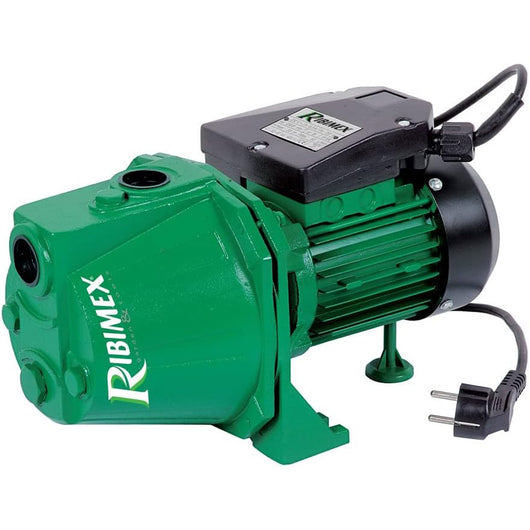 ELETTROPOMPA POMPA AUTOADESCANTE DI SUPERFICIE 750W AUTOCLAVE RIBIMEX PRJET81