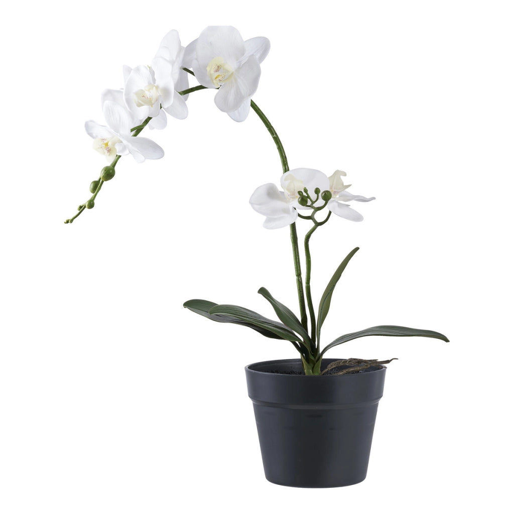 Pianta Artificiale Orchidea, Verde, Plastica PE, 34x21x47 cm