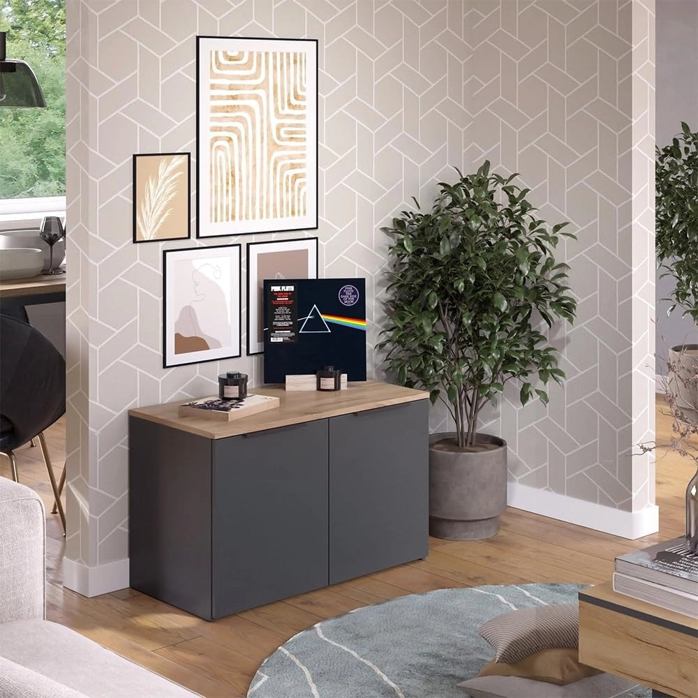 Credenza Wido, Antracite, 80 x 50 cm con 2 porte, adatto per riporre abiti e oggetti per la casa