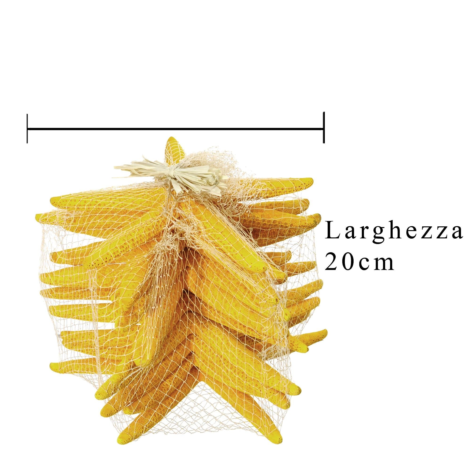 Stelle Marine Colorate 10 Pz 15x20 cm