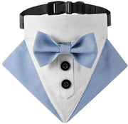 Accessorio per cani stilevole - Cintura per cani comoda - Adatta per occasioni speciali - Materiale respirabile - Collare per cani