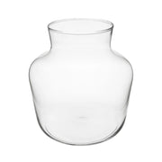 Terrario Bottle Garden Anfora per Terrario in vetro cm23x24h