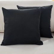 Set di cuscini per divani - Set da 2 - Cuscini di seta fine - Cuscini decorativi comodi - Siercuscini moderni - Per divano Sala soggiorno Terrazza - 50x50cm - Nero
