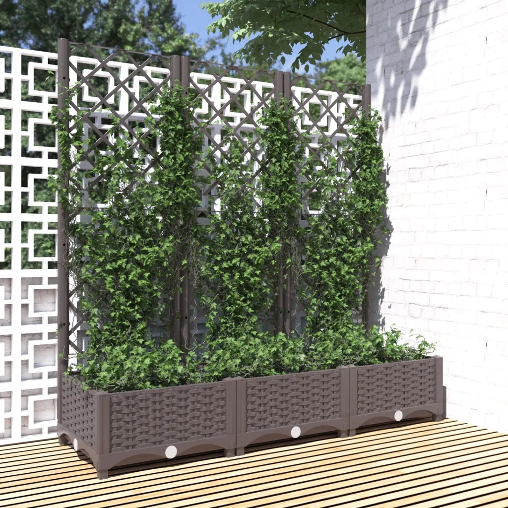 Fioriera | Cassetta per fiori | Vaso da giardino con traliccio marrone 120x40x121,5 cm PP