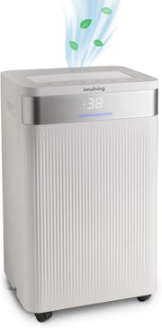 Innoliving Deumidificatore 20L, Modalità Asciugatura, Gas R290 Eco-Friendly, Timer 24h, Digitale, Capiente, Sbrina Autom, Serbatoio 4.3 Litri