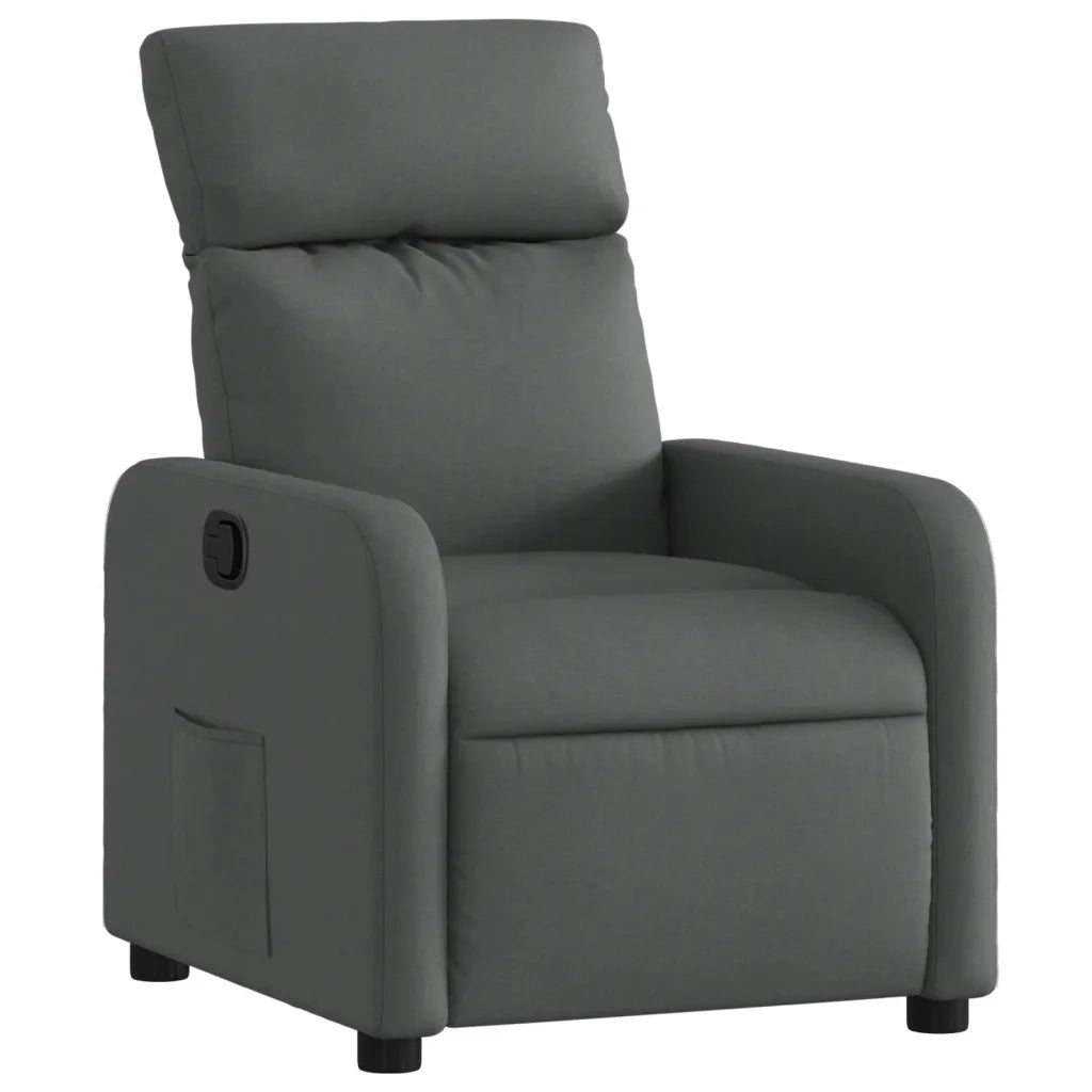 Divano Sedia-Poltrona Reclinabile in Tessuto Grigio Scuro 904648