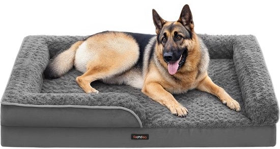 Letto per cani ortopedico per grandi cani, divano per cani impermeabile con copertura di piuma rimovibile, 122 x 85 x 16 cm, grigio sporco PGW254G02