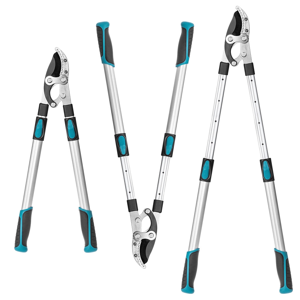 KADAX Sekator kowadełkowy P21182 K16026