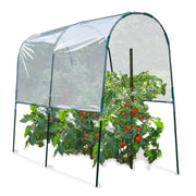 ProBache - Serra di pomodori 2 M