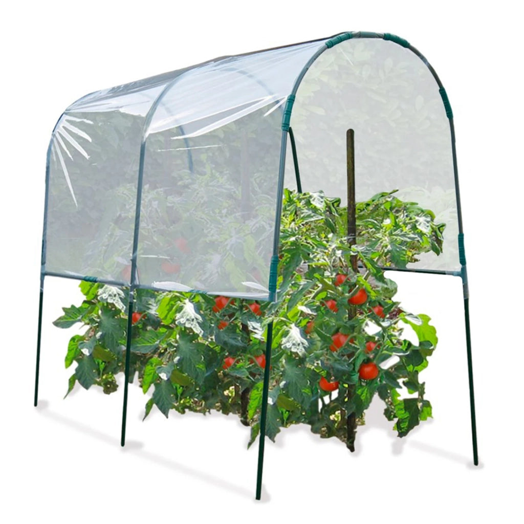 ProBache - Serra di pomodori 2 M