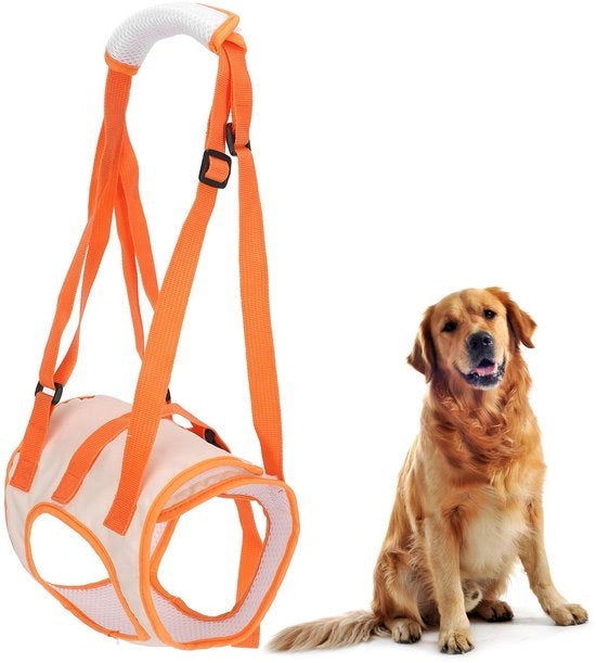 Harnas Ergonomico per Cani Seniors con Supporto alle Caviglie - Maniglione per Comfort - Materiale Duraturo - Attrezzo per Cani