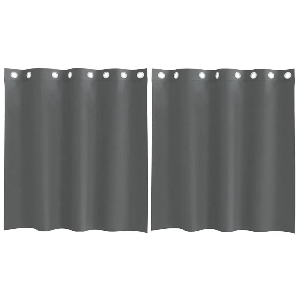 Tende in Voile con Occhielli 2 pz Grigio Scuro 140x140 cm