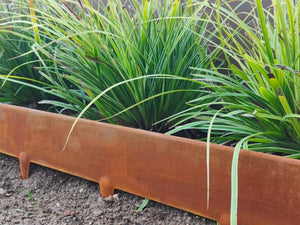 Bordura per Aiuola 1m x 100 mm, 10 pz Bordura per Giardino e Orto a Giunzione in Acciaio Cor-Ten, Bordo per Aiuole