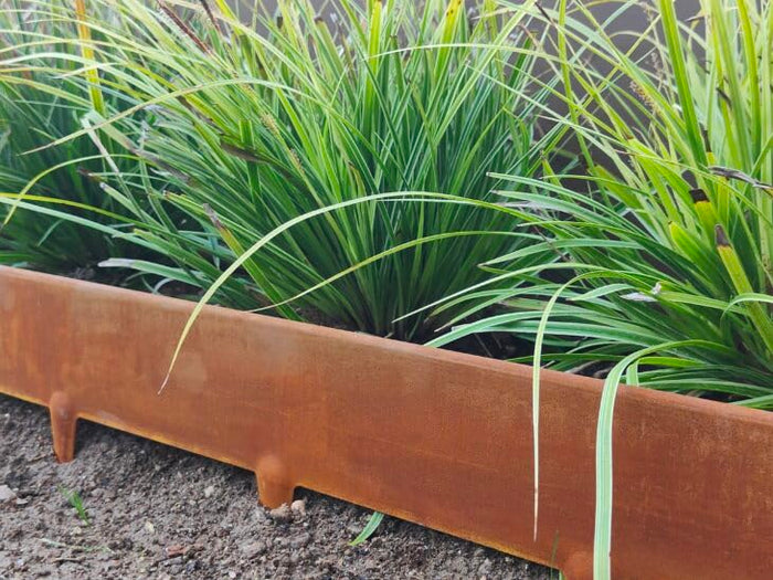 Bordura per Aiuola 1m x 100 mm, 10 pz Bordura per Giardino e Orto a Giunzione in Acciaio Cor-Ten, Bordo per Aiuole