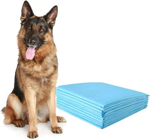 Tappetini Igienici Grandi per Animali, Traverse Animali a 5 Strati, Assorbe Bene Senza Perdite (75 x 75 cm 150 Pezzi)