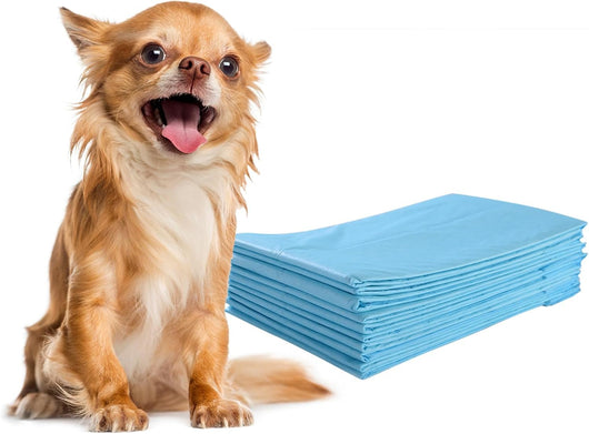 Tappetini Igienici Grandi per Animali, Traverse Animali a 5 Strati, Assorbe Bene Senza Perdite (60 x 43 cm 300 Pezzi)