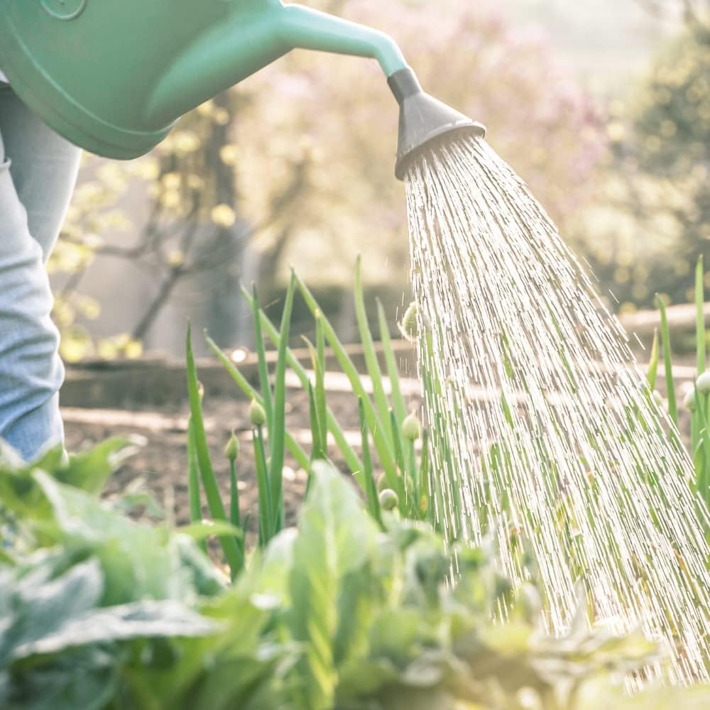 Annaffiatoio universale in plastica, beccuccio lungo, impugnatura comoda per interno ed esterno 10lt