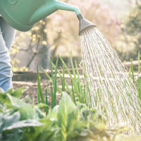 Annaffiatoio universale in plastica, beccuccio lungo, impugnatura comoda per interno ed esterno 10lt