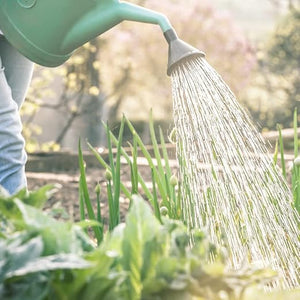 Annaffiatoio universale in plastica, beccuccio lungo, impugnatura comoda per interno ed esterno 10lt