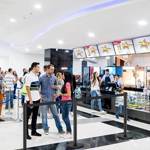 4 Paletti di Delimitazione, Barriera in Acciaio Inox per Code, Colonnine Segnapercorso Transenna Eliminacode Separacode, Ideale per Hotel Ristorante Cinema (Nero)