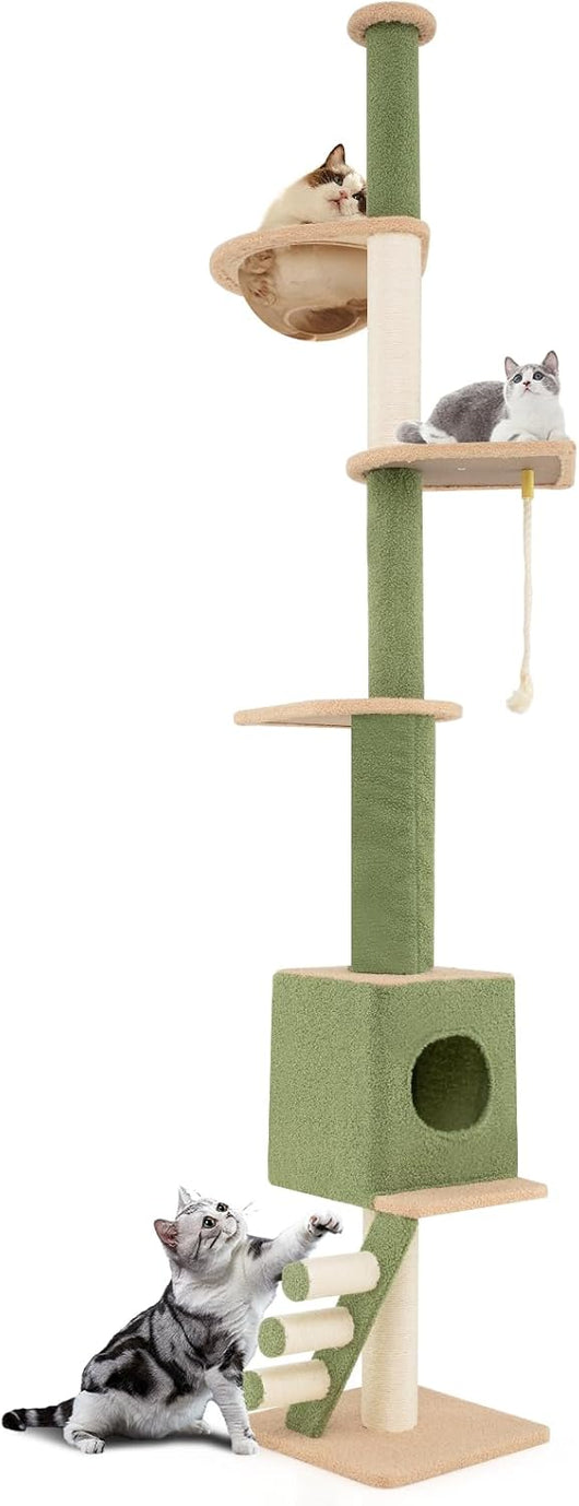 Tiragraffi per Gatti con Altezza Regolabile 218-253cm, Torre per Animali Domestici con 5 Livelli, Cordino, Pali in Sisal e Scala, Albero per Gatti, Verde