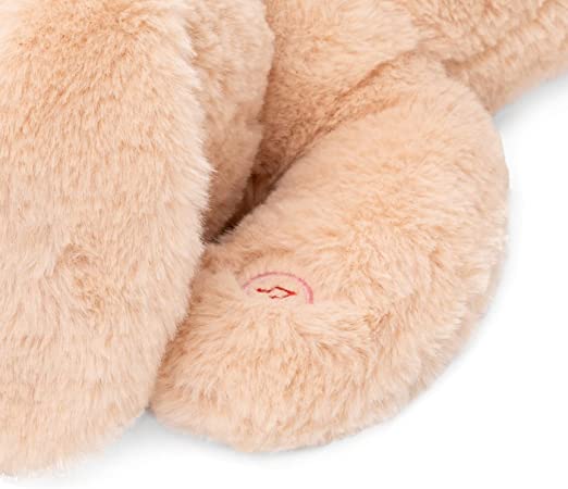 Peluche Ninna Nanna Neonato Cane Peluche Interattivo Grande , Peluche Per Nanna , Peluche Interattivo Parlante , Regalo