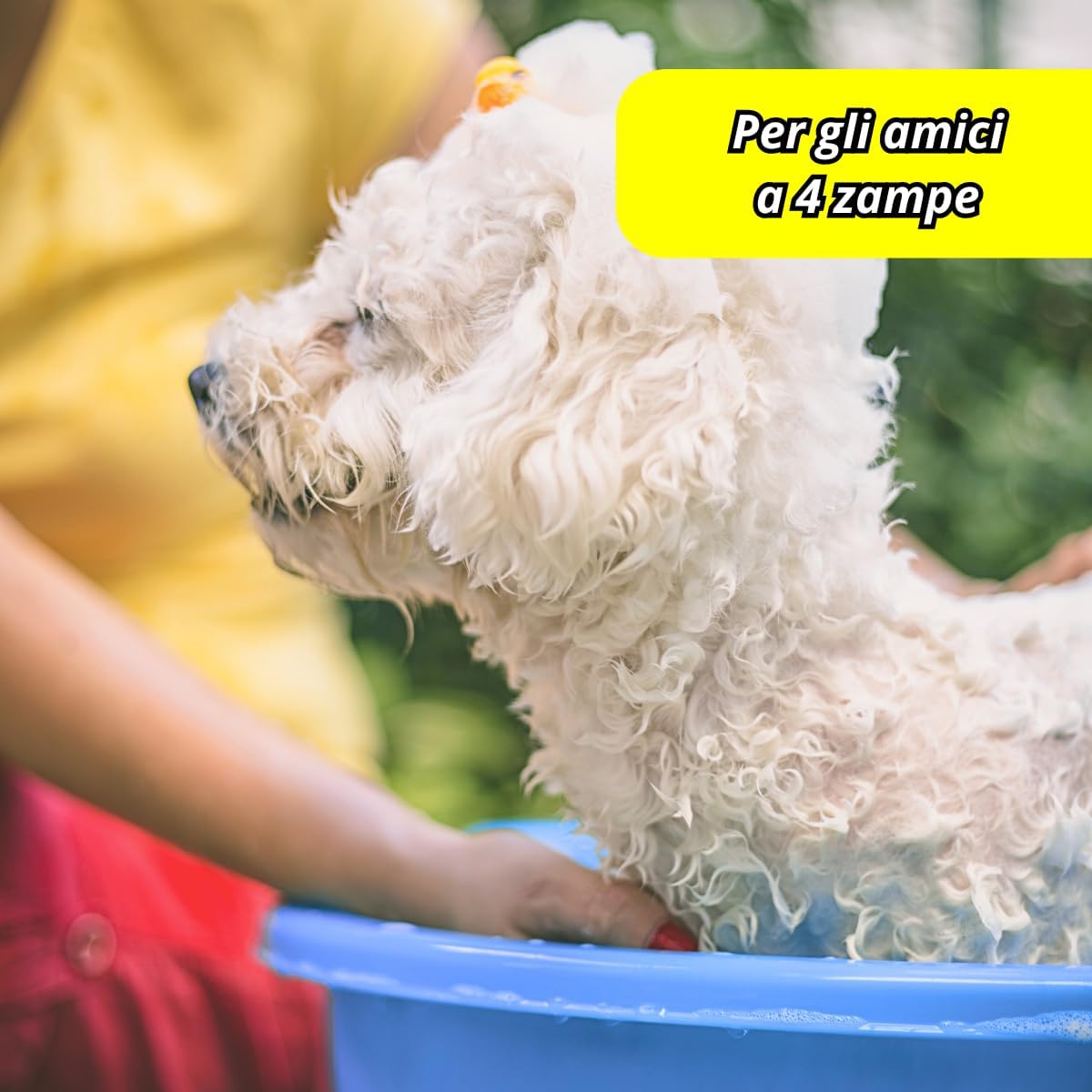 Tomaino - Bacinella Bucato in Plastica Tonda Ø35cm - Contenitore Multiuso per Casa, Lavaggio Panni, Cane, Pediluvio