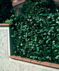Arella Siepe Sintetica Artificiale 1,5x3m in PVC con Rete Ombreggiante Ranieri Foglie di Lauro