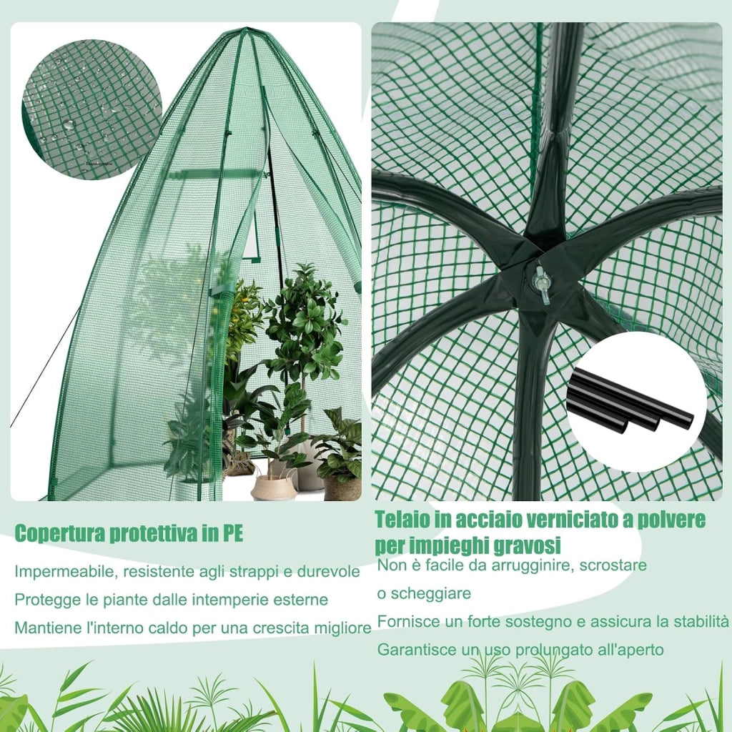 Serra da Giardino con Copertura in PE per Tutte le Stagioni, Porta Avvolgibile, Finestra a Rete, Serra da Esterno per Piante e Orto, Ideale per Balcone e Giardino 160 x 160 x 183 cm