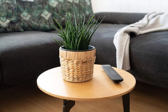 Set di 3 vasi di fiori, rotondi, intrecciati, di giunco, con inserto in plastica per la piantagione - vaso per piante - 16 cm + 20 cm + 26 cm