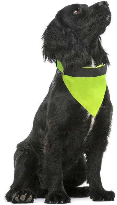 Bandaia per cani Riflettente - Fodero Adattabile - Materiale Polyester soffice - Secchezza Rapida - Alta Visibilità - Adatto per Campeggio/Caccia - Cappotto per cani