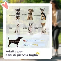 Passeggino per Cani Piccoli Pieghevole con Copertura Antipioggia, Cestino e Guinzaglio Integrato, Verde