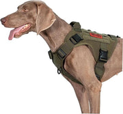 Cinturone per cane FIRE Watcher 2.0 MOLLE con manubrio e chiusura metallica (verde, M)