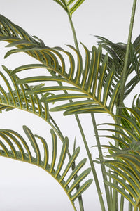 Set 2 Piante Artificiali di Kenzia Ø90x120 cm in Plastica con Vasi Verde