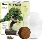 Kit di Avvio per Bonsai - Set di Crescita, Bonsai, Regalo Sostenibile - 1 Pezzo