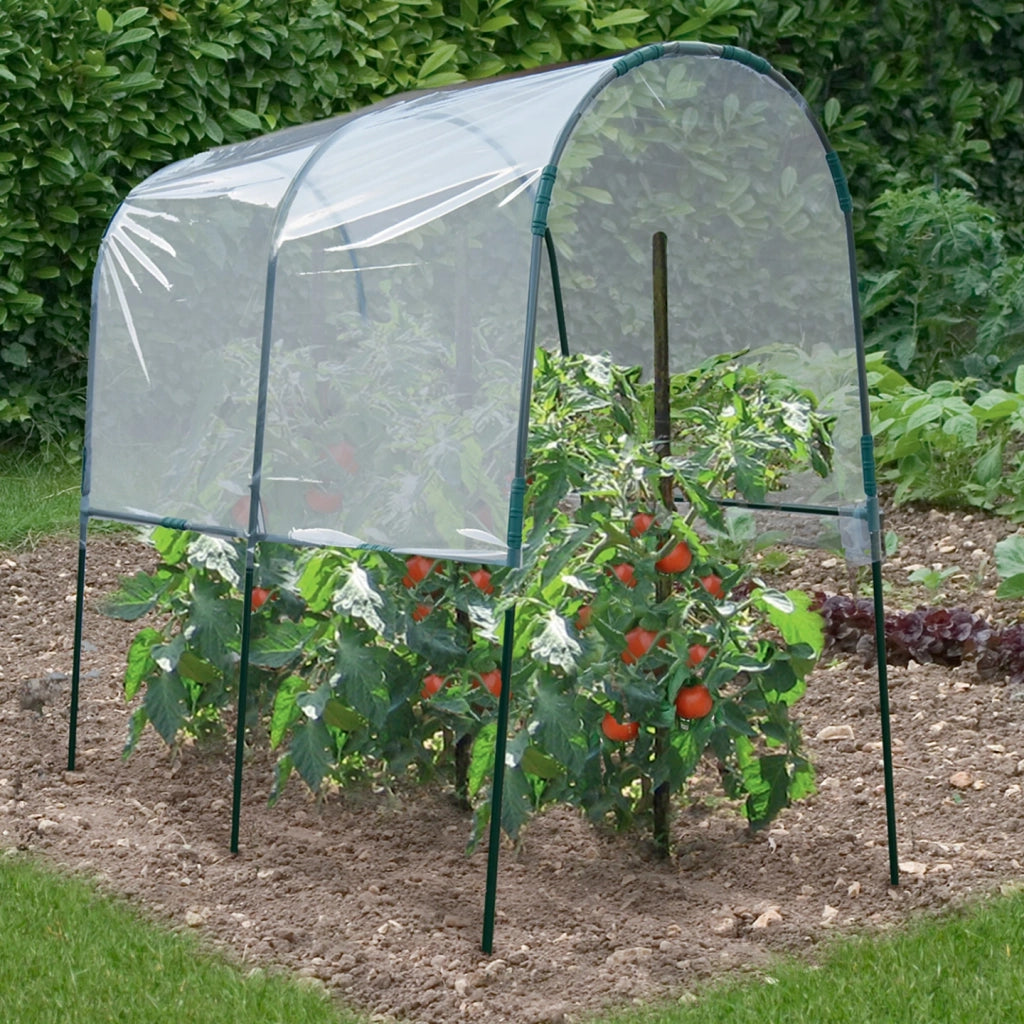 ProBache - Serra di pomodori 2 M